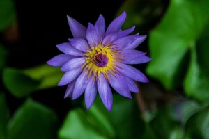 G63820d2feebdf87ae0e009dd7b11fd733e7b29c6126ffb669010e7e61284bd08814701ec2bfd3987194c7bafdc73761b04ac8b1b41bb095beeaf94d480b58ea0 640